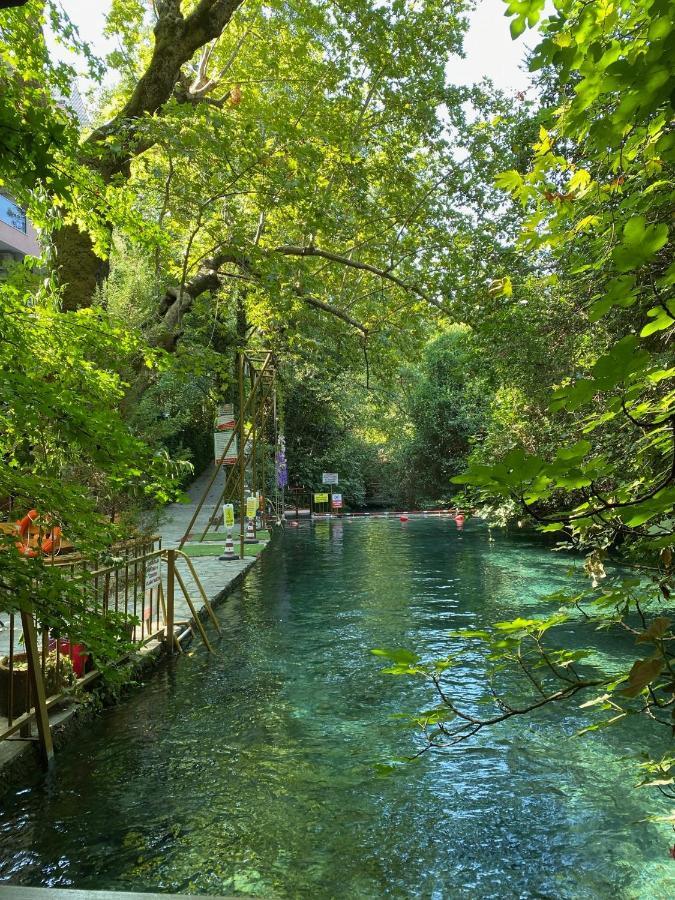 Yuvarlakcay Cinar Butik Otel Koycegiz Exterior foto